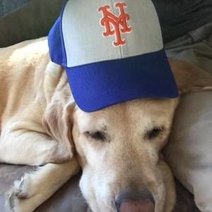 Meet your Posher, Max